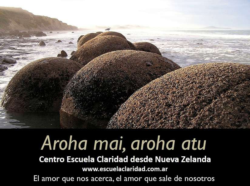 claridad nueva zelanda