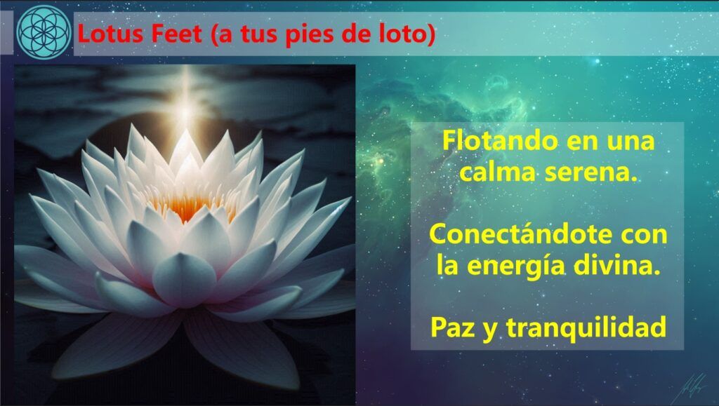 lotus feet musica