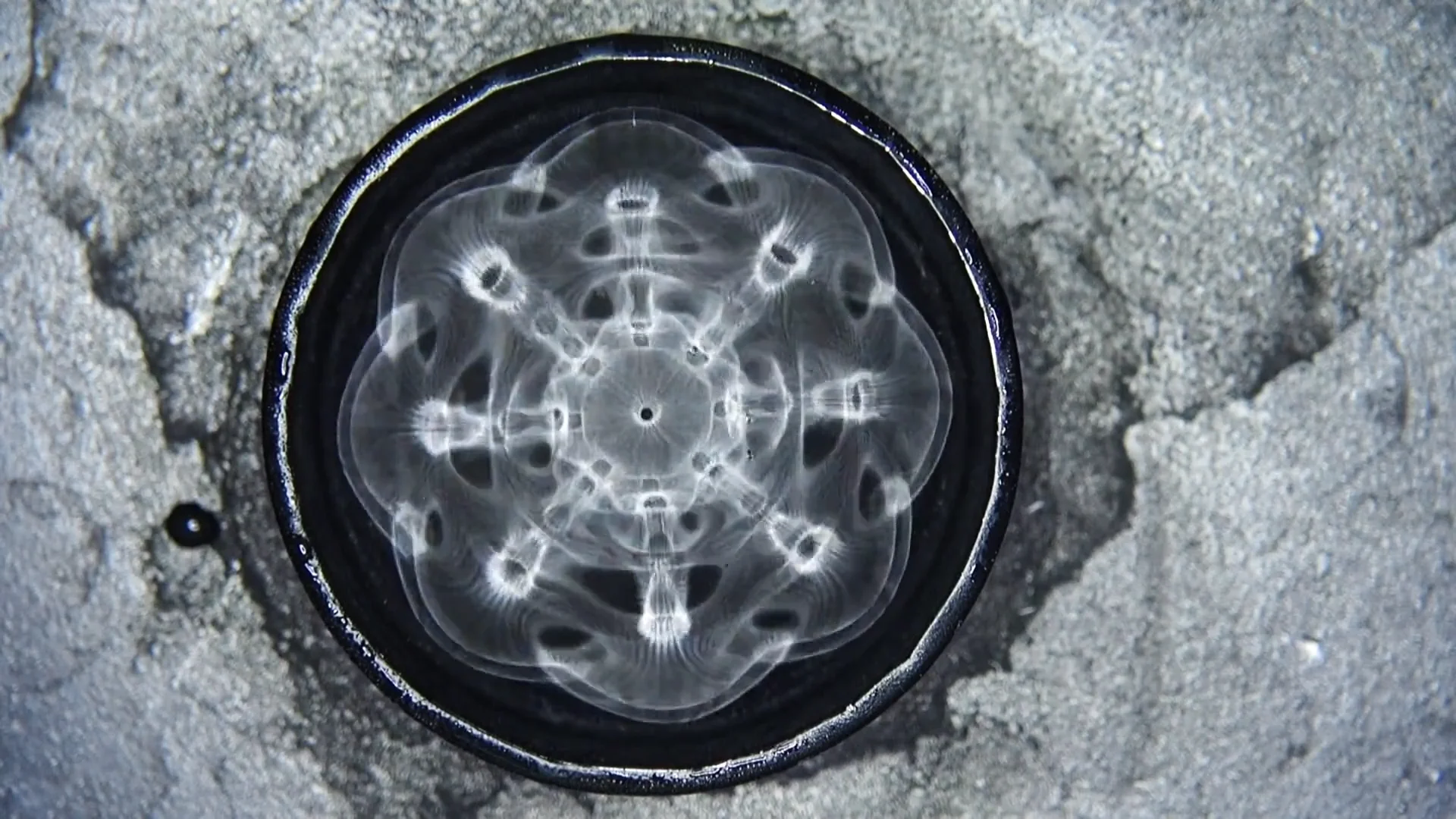 cimatica 01